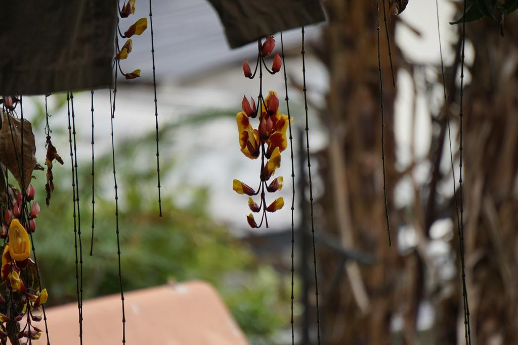 Mountain House Manizales Hotel Екстериор снимка